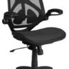 High Back Transparent Black Mesh Executive Swivel Chair With Adjustable Lumbar, 2-Paddle Control And Flip-Up Arms - By Flash Furniture - Madison Seating -Executive Chairs Sales High Back Transparent Black Mesh Executive Swivel Chair with Adjustable Lumbar 2 Paddle Control and Flip Up Arms by Flash Furniture
